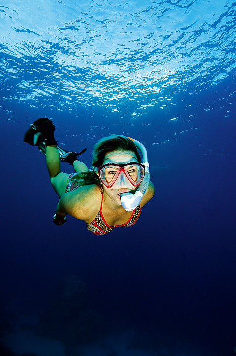 Dykning i Egyptens röda havet