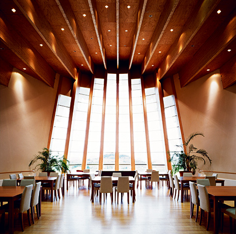 Stylad skål – vingårdar i Europa