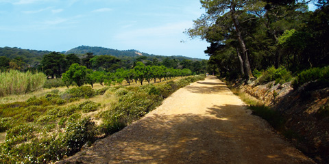Skärgårdsliv på Rivieran