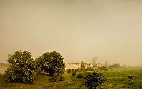 Gastronomi på Gotland