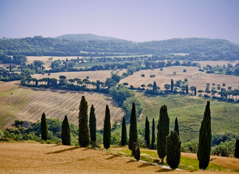 Toscana – som ett sofistikerat vin