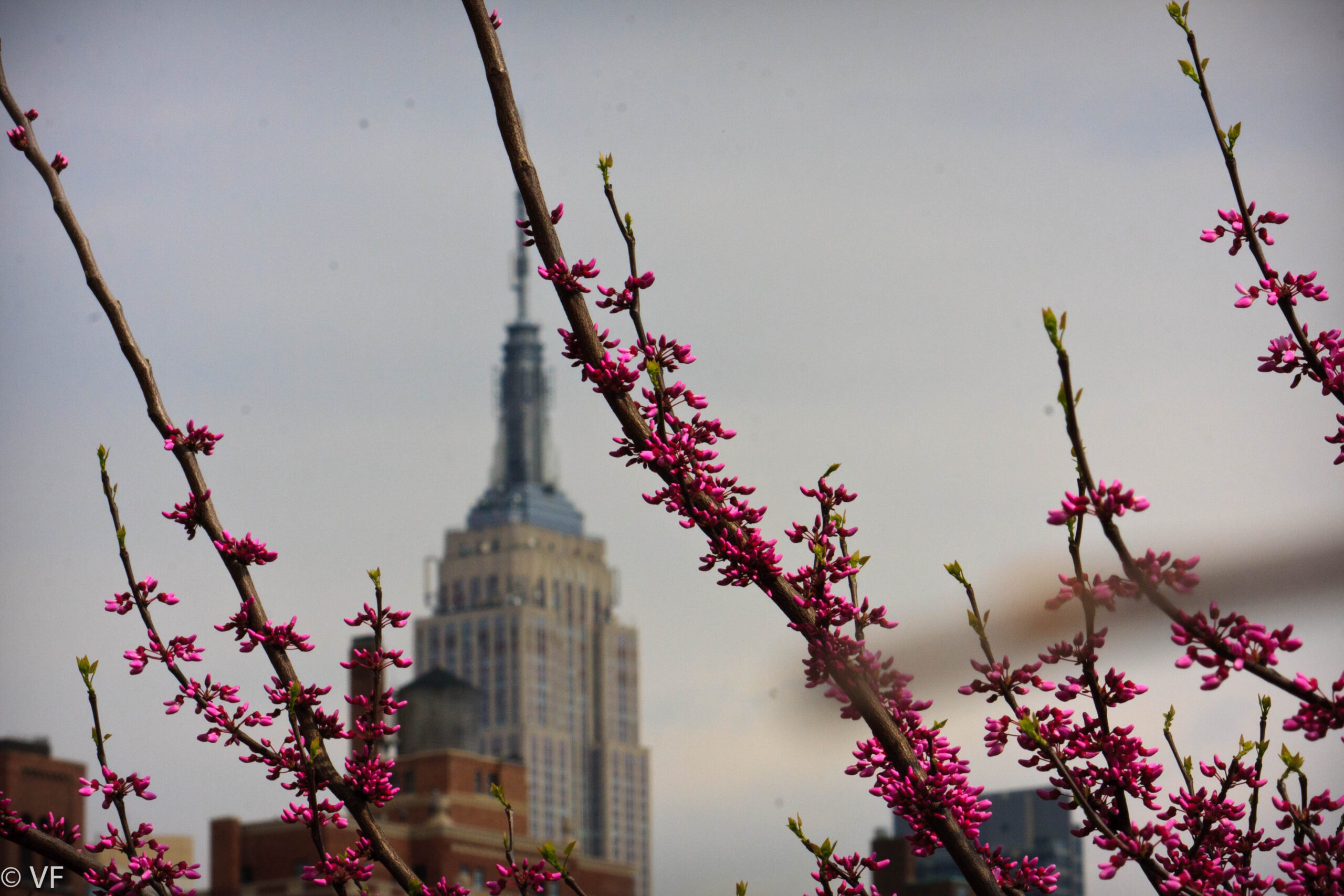 Hippaste storstäderna i vår