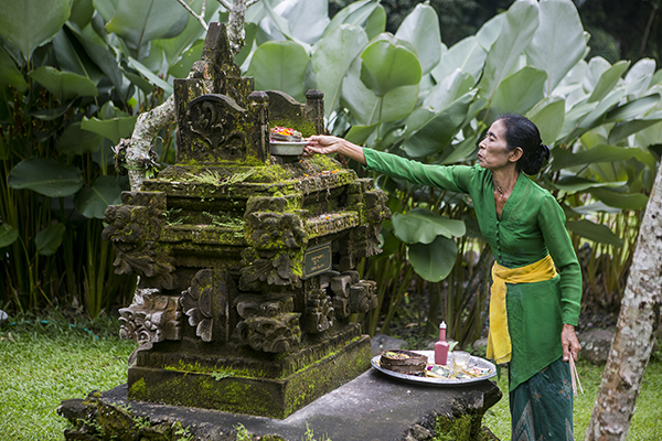 Bali – gudarnas ö