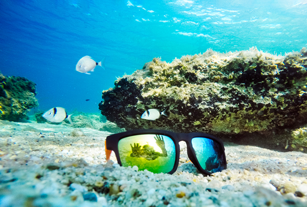 Vinn sommarens snyggaste solglasögon