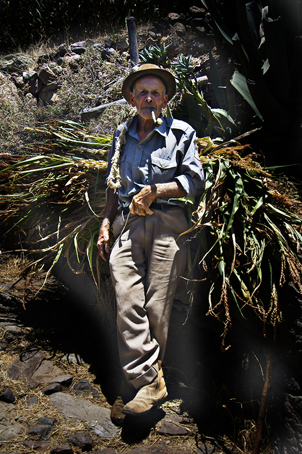 Summering: hit reste vi 2016