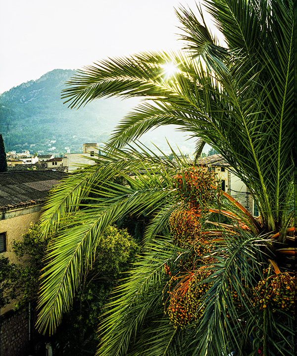 Mallorca – alltid lika kärt