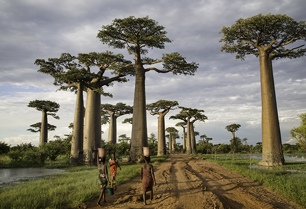 Tvärs över Madagaskar