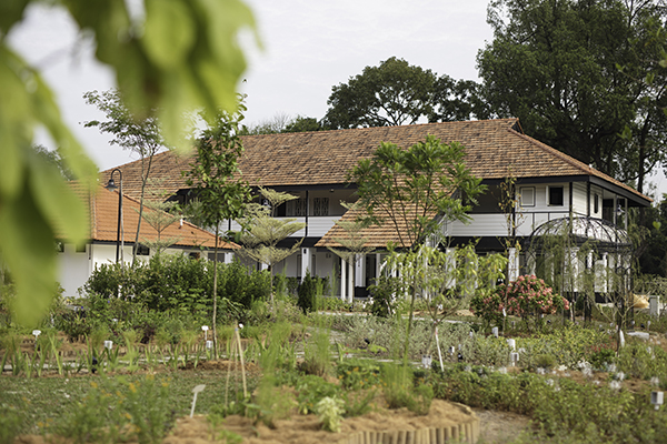 7 bästa tipsen i Singapore i höst