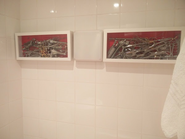 Daddy Long Legs Art Hotel