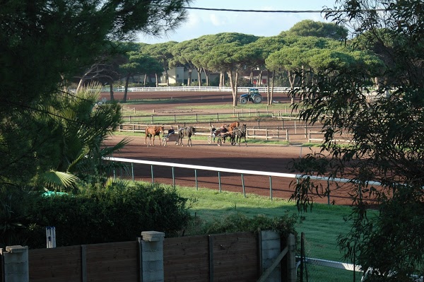 Le Mediterranée, Hyères