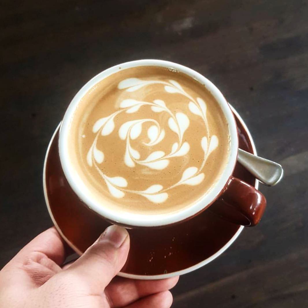 Bourke Street Bakery Surry Hills