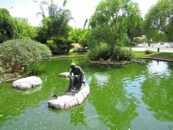 Princesse Grace Rose Garden