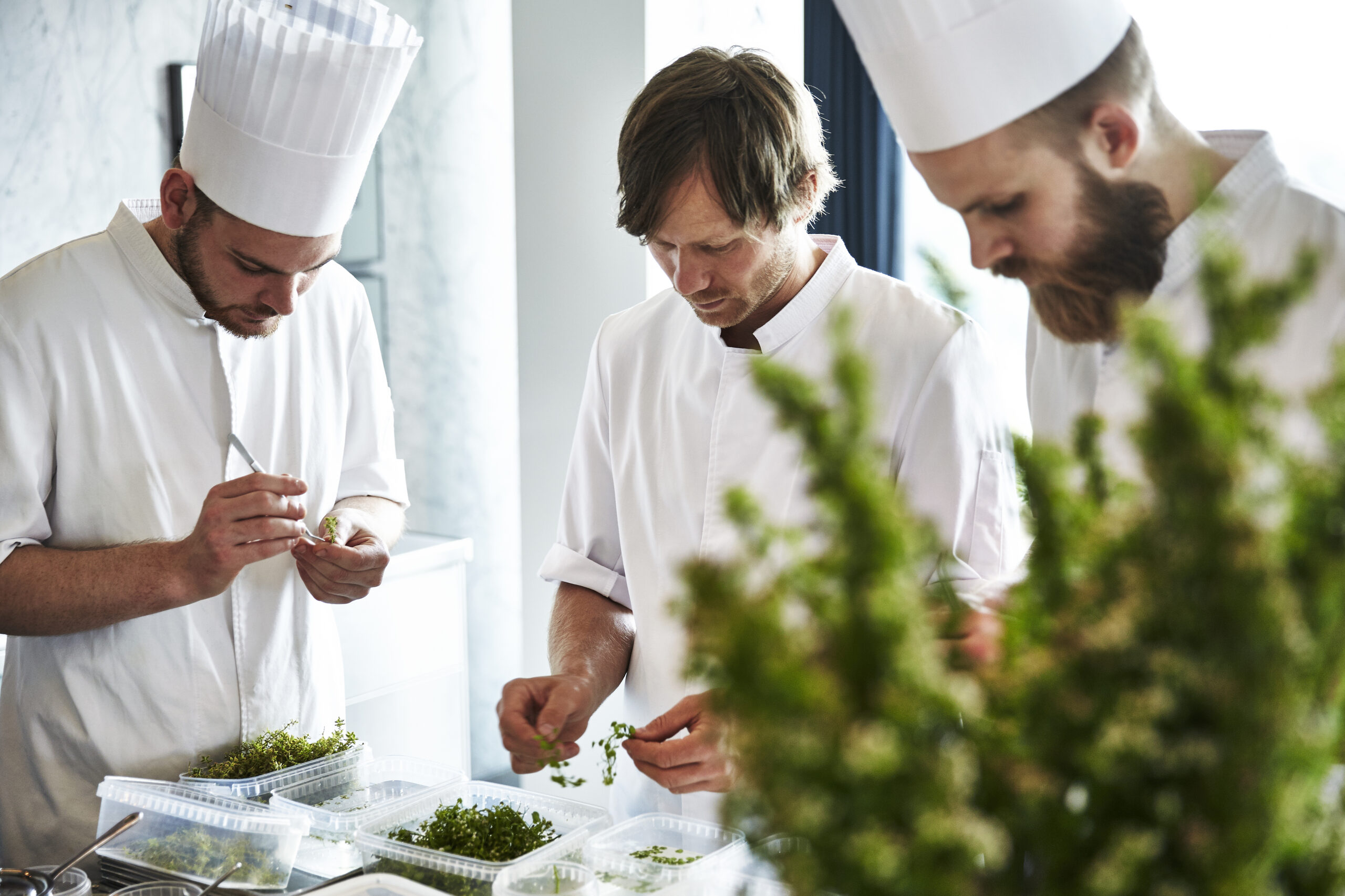 Köpenhamn – gourmetstadens bästa restauranger