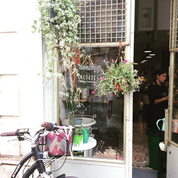 Saudade Flores Frescas