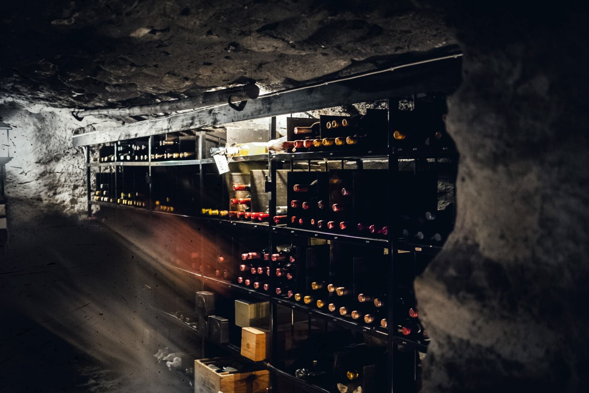 Åk på vinsemester innanför Sveriges gränser