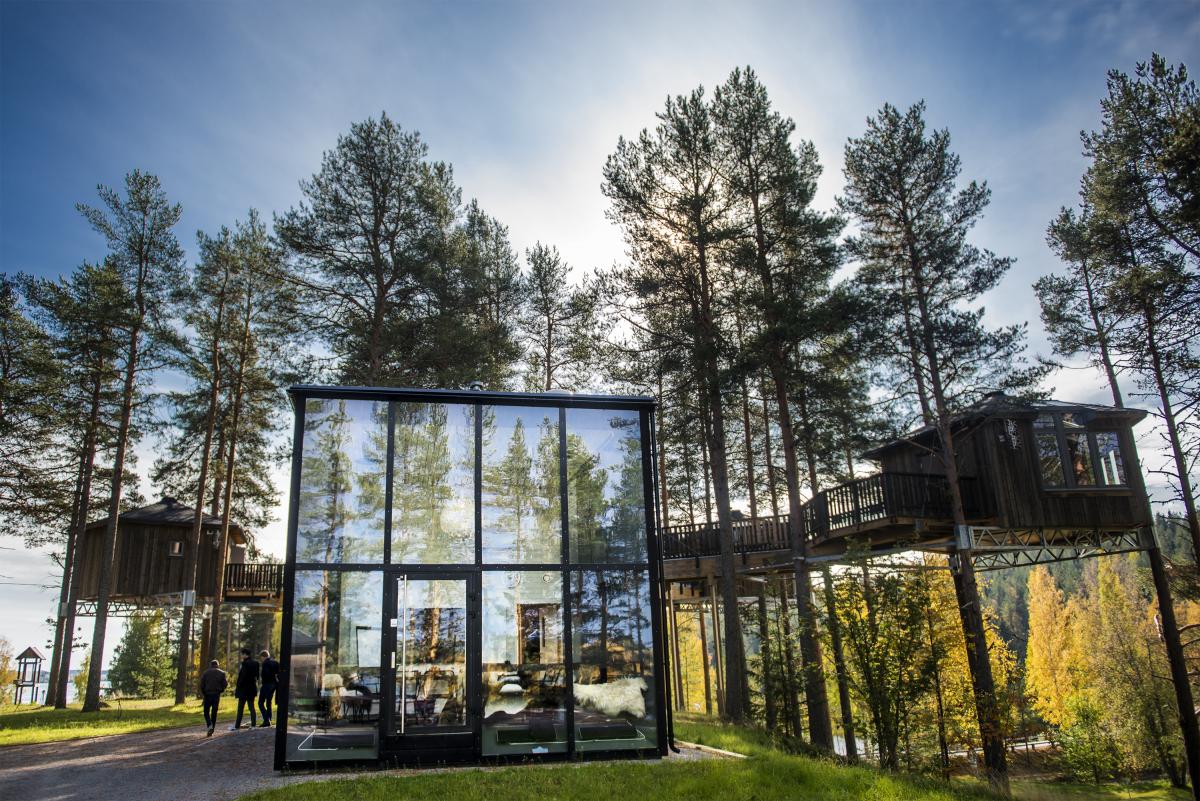 Guide: Svenska favoriter