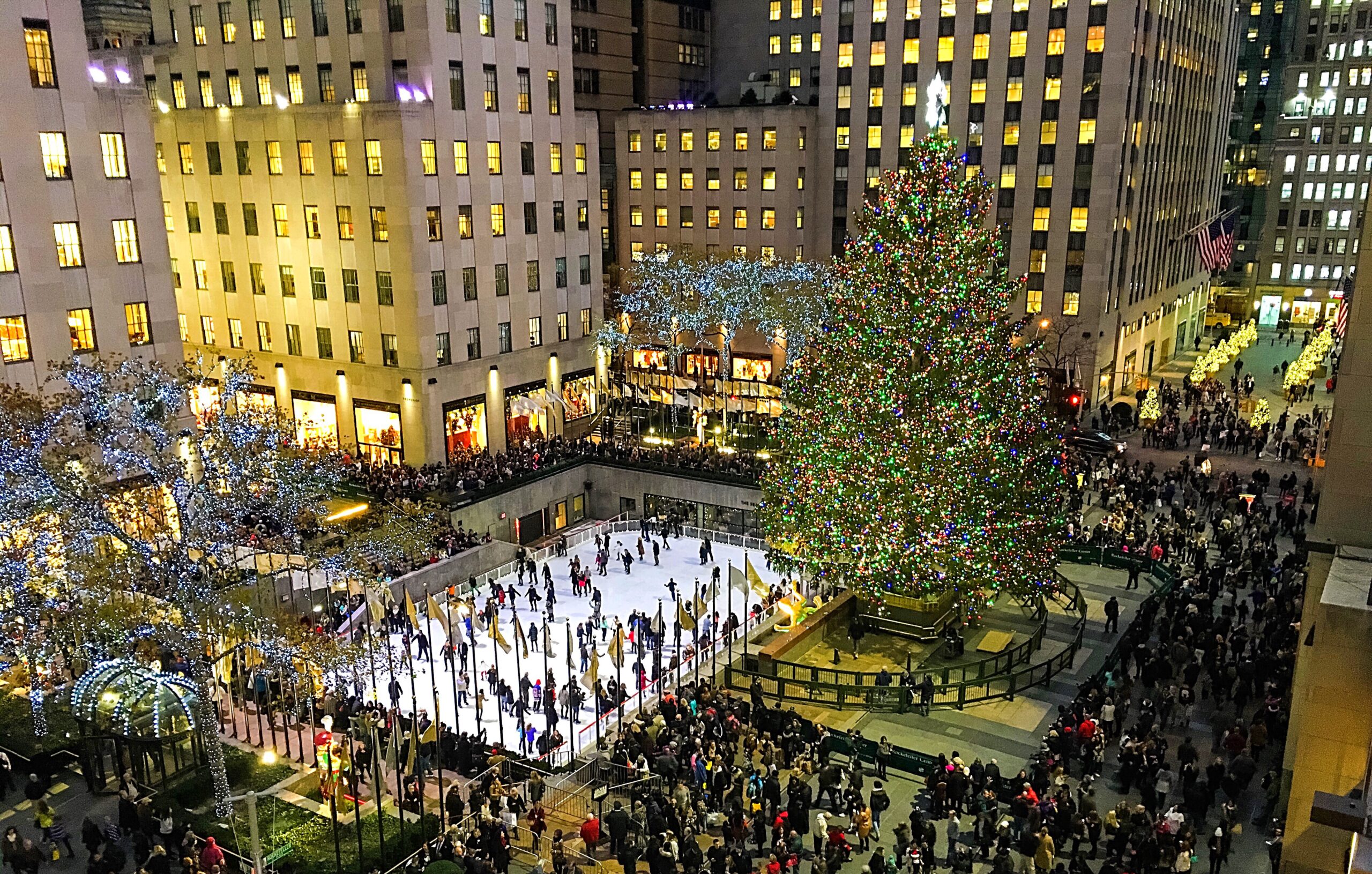 Klart: Så blir årets julgran vid Rockefeller Center
