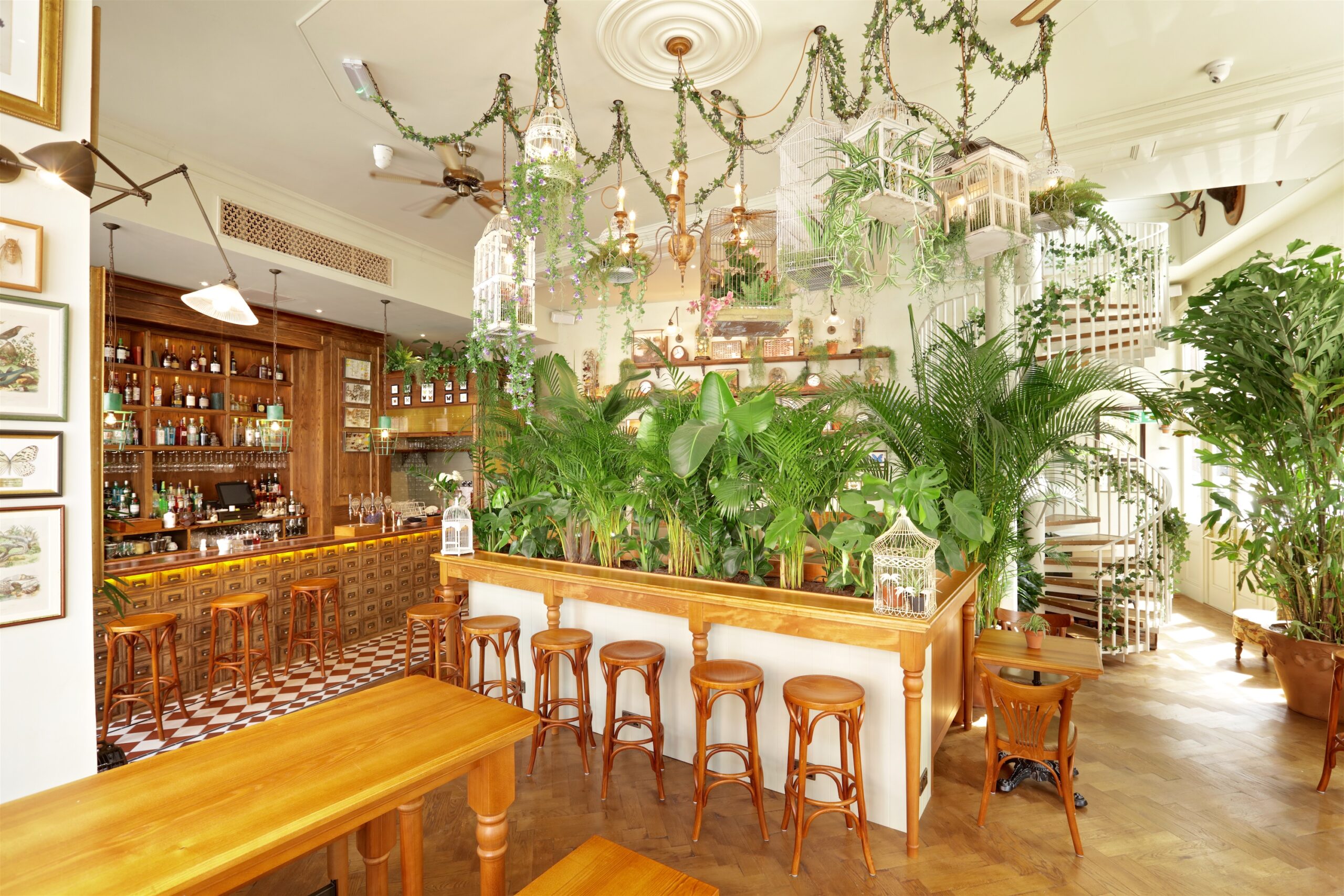 Mr Fogg’s House of Botanicals