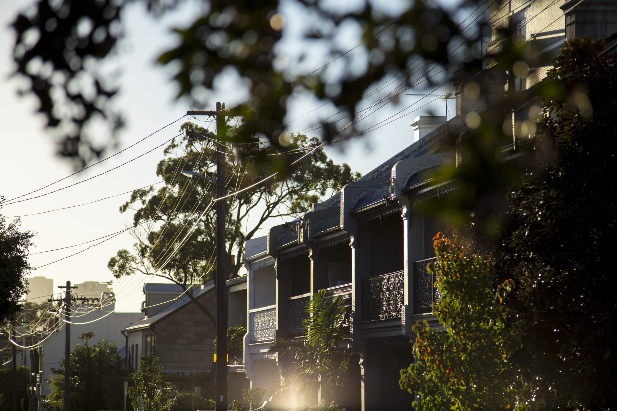 Sydneys nya darlings