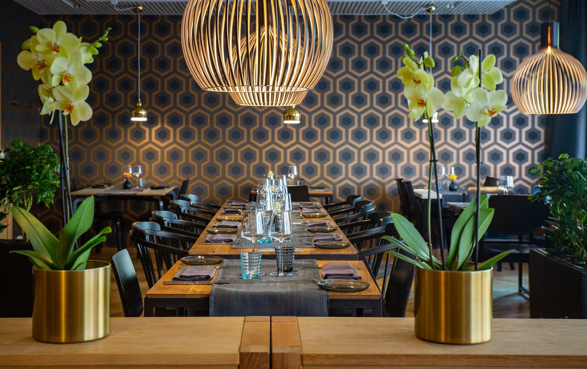 Käka loss i Helsingfors