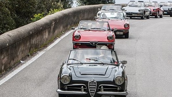 SPIDER LIFE STYLE DI SERGIO CIAMPA