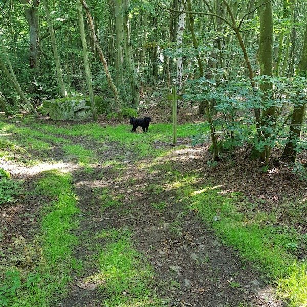 Listershuvud Naturreservat