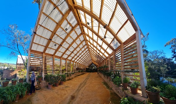 Babylonstoren Wine Estate