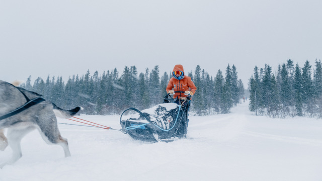 Fjällräven Polar 2023 – en 300 km arktisk expedition i norra Skandinavien