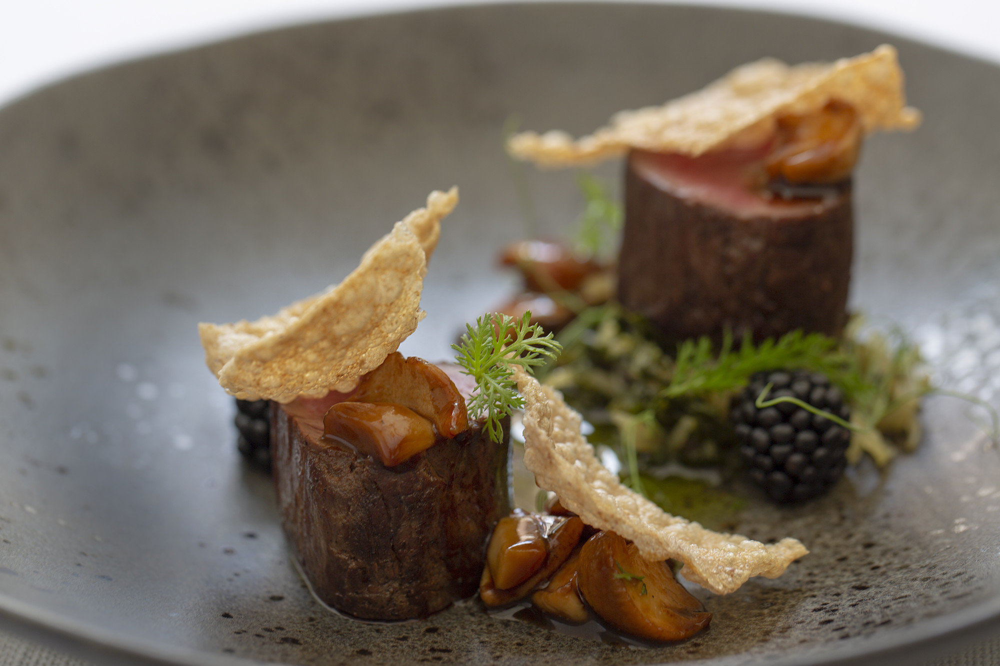 Krogtäta gatan Kanonicza