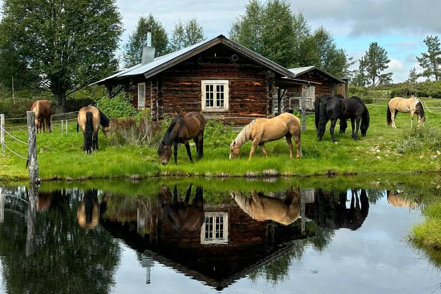 Hemester: 7 tips på coolcation i Sverige