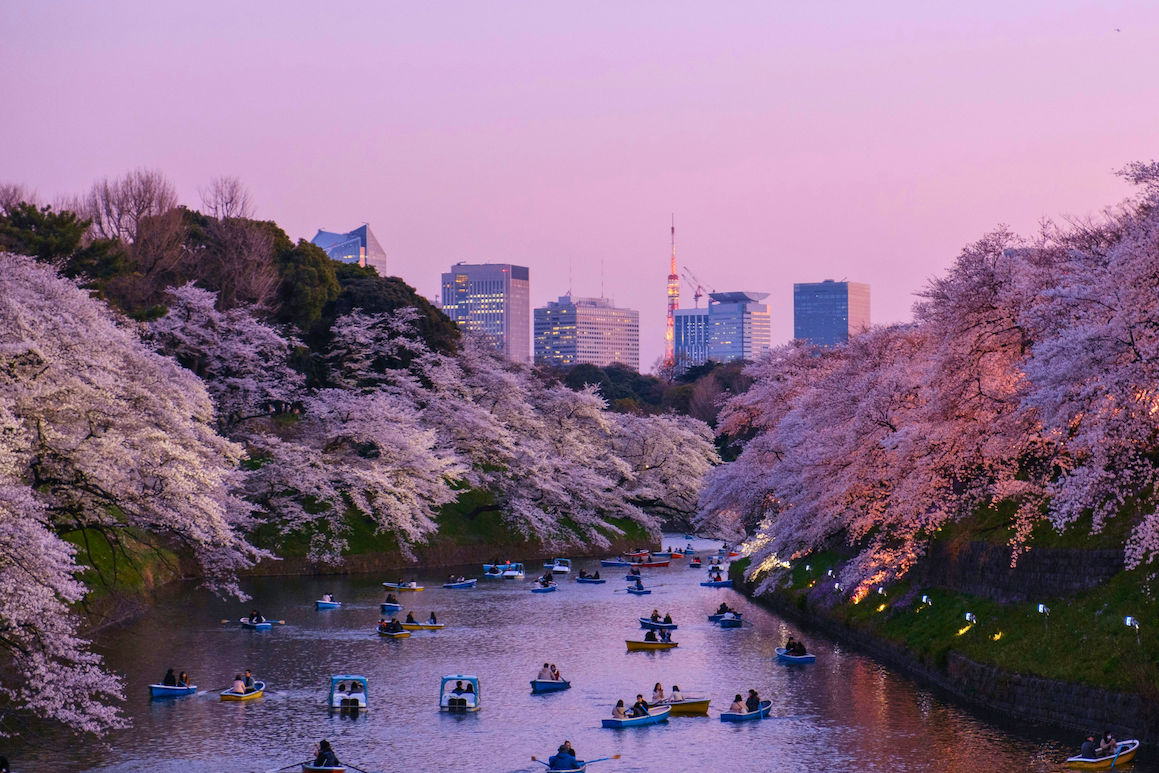 Detta är svenskarnas nya drömresmål