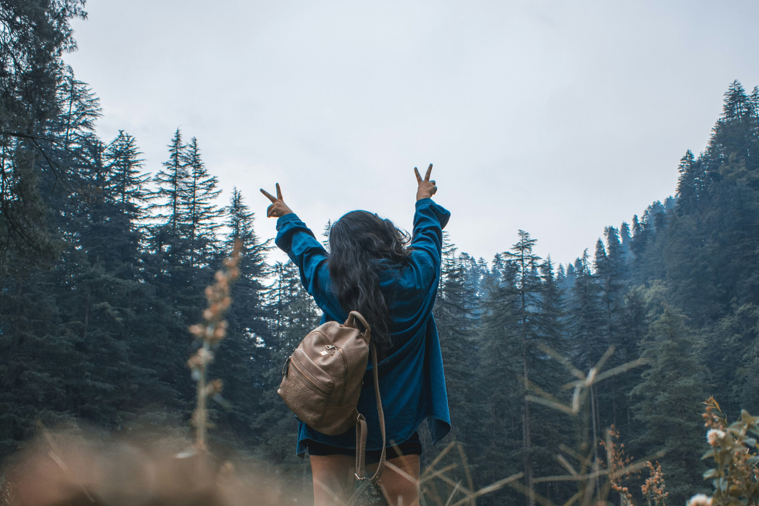 Så spenderar vi reskassan 2025