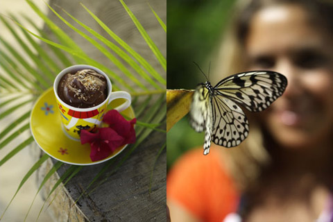 Magvägen till Aruba